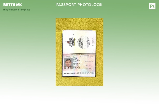 Шаблон за фото изглед на нигериски пасош ( ) во модерен стил